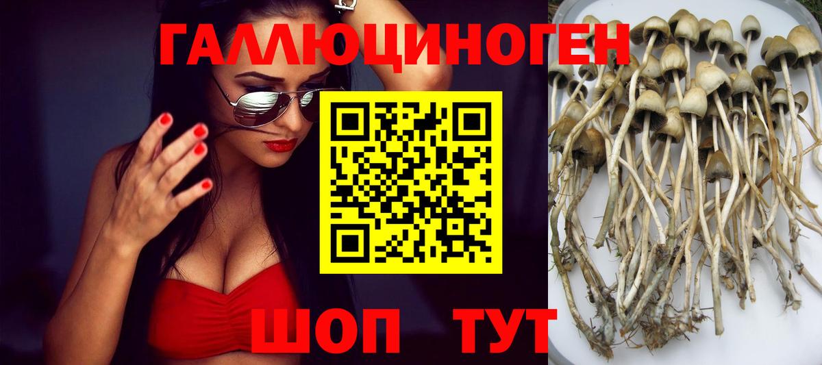 Псилоцибиновые грибы MAGIC MUSHROOMS  Вход с VPN  Алатырь 